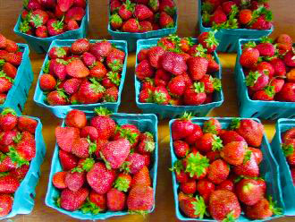 Strawberries Bupperts MD