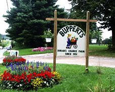 bupperts farm